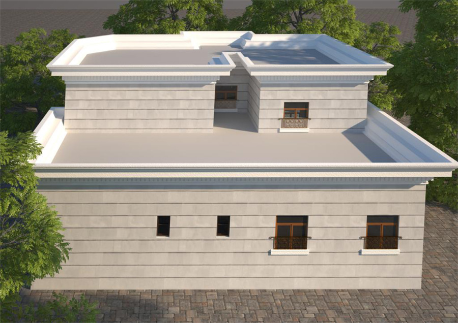 Project name